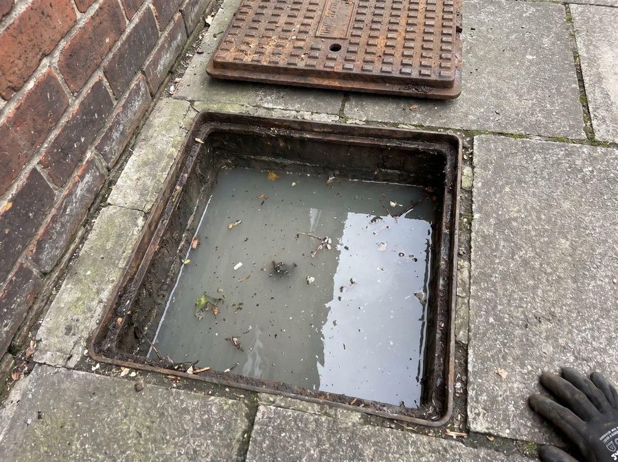 Inspection chamber backed up with dirty standing water