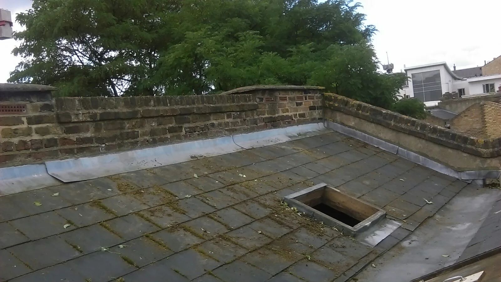 Flat roof with moss and debris across the surface